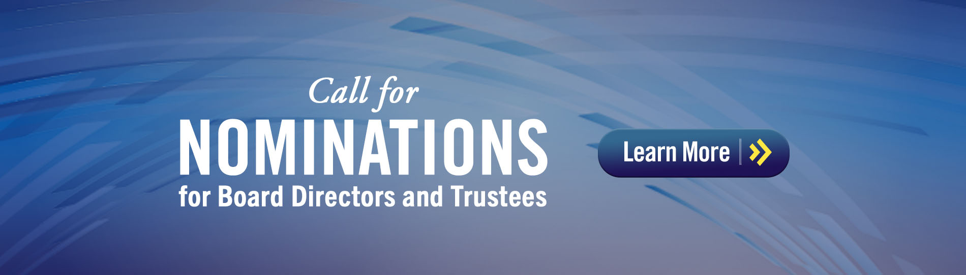 2025 Board Nominations